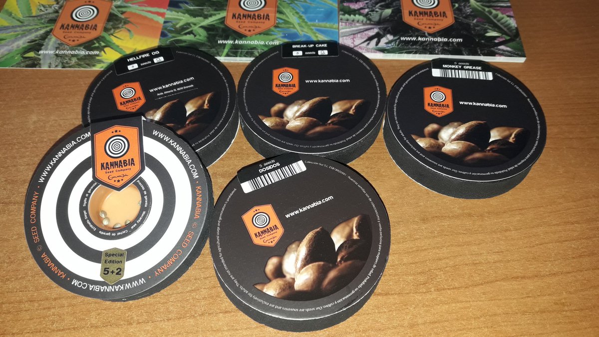 Adryc Manëllson tweet media