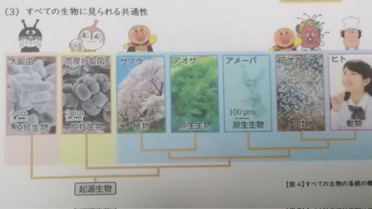 ﾐ tweet media