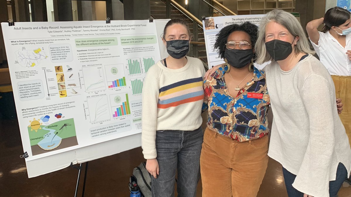 Emily Bernhardt (@drbiogc) on Twitter photo #DukeBGC celebrates Wundergrad Tyler Edwards (center) at the end of four years <a href="/DukeU/">Duke University</a>. In our lab, Tyler counted 100,000 stream bugs to start a new long-term <a href="/HubbardBrookNH/">Hubbard Brook</a> ecological record and produced a podcast series about Hubbard Brook spoti.fi/3rBKpKK - Yay Tyler! #DukeBGC celebrates Wundergrad Tyler Edwards (center) at the end of four years <a href="/DukeU/">Duke University</a>. In our lab, Tyler counted 100,000 stream bugs to start a new long-term <a href="/HubbardBrookNH/">Hubbard Brook</a> ecological record and produced a podcast series about Hubbard Brook spoti.fi/3rBKpKK - Yay Tyler!