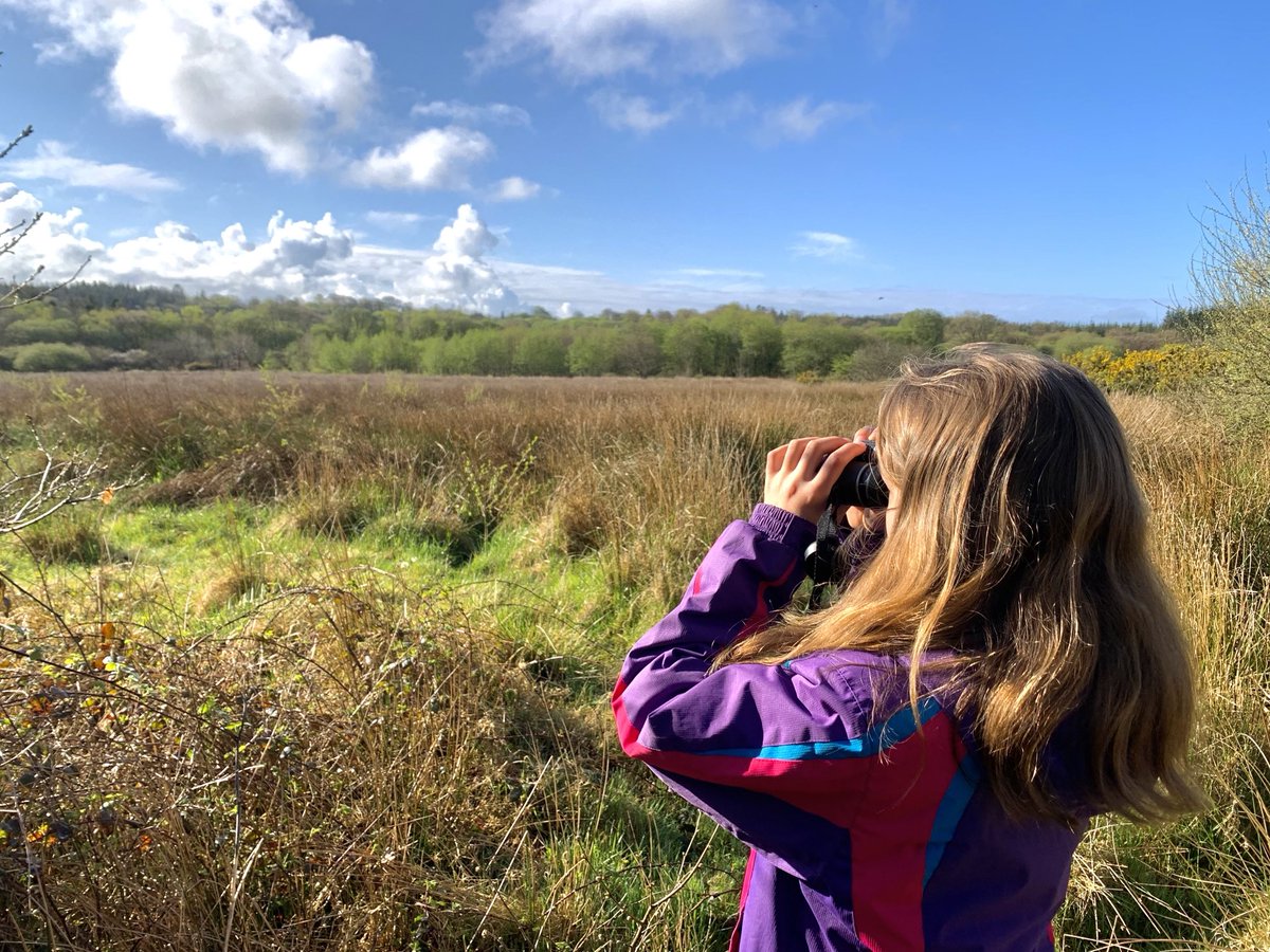 mattwillson75's tweet photo. What a beautiful morning! Started our walk watching Grasshopper Warblers just 200 yds from our house 😀 17 species of #bird inc WW, CC, BC, Siskin &amp; Greenfinch ⁦@DevonWildlife⁩ #Halwill ⁦@ZEISSBirding⁩ ⁦@hawkeoptics⁩ ⁦@DevonBirds⁩ #cookworthyforest https://t.co/vTFbO6ndRm