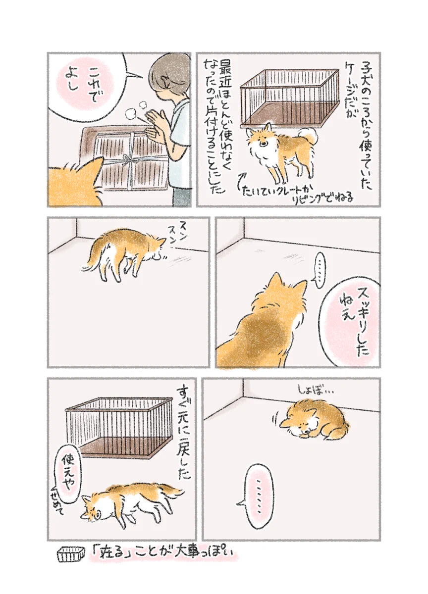 使うかどうかではなく、あることが大事？最近あまり使わなくなった、飼い犬のケージを片付けたお話！