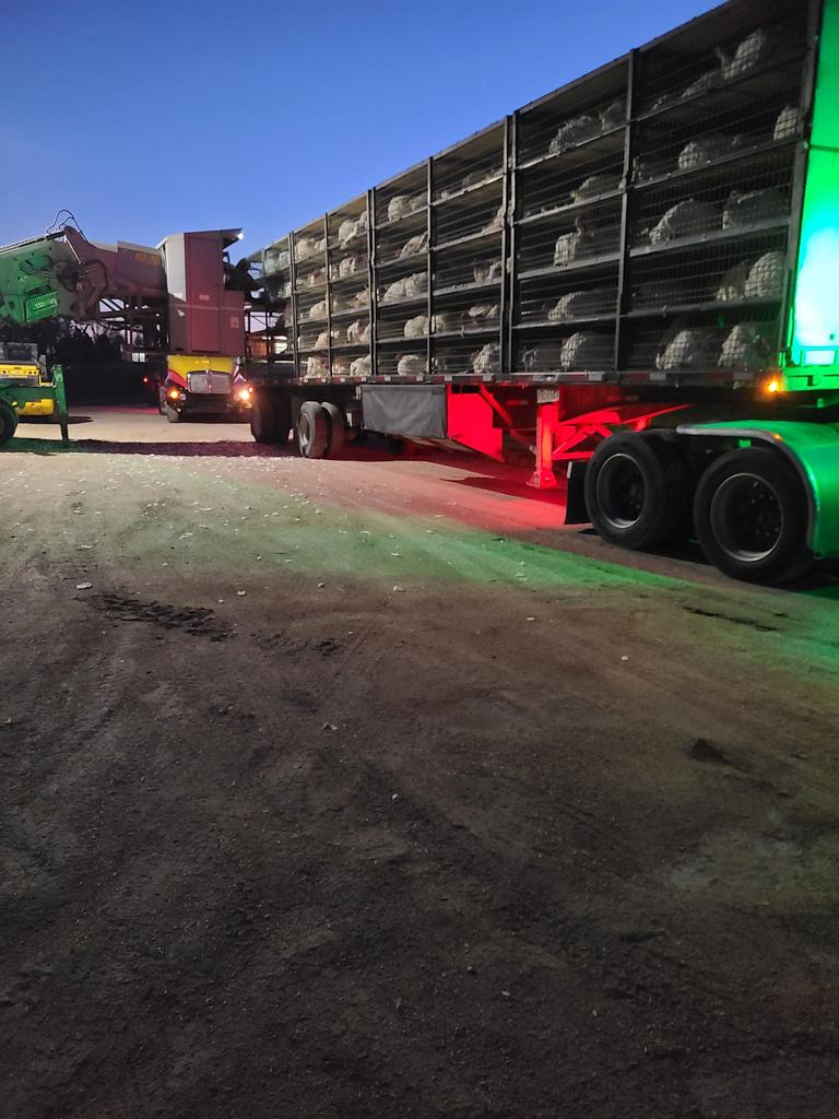 TurkeyTye tweet media