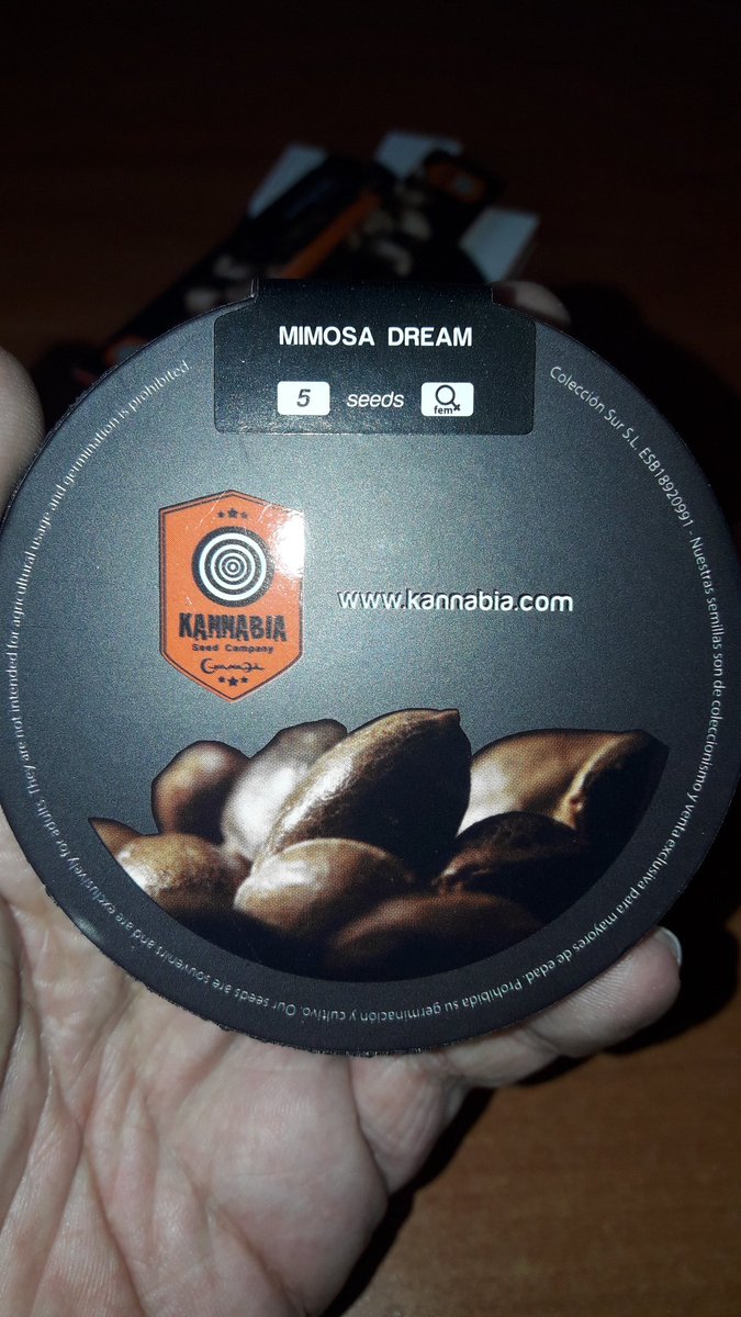 Adryc Manëllson tweet media