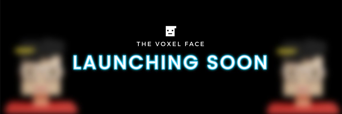 The Voxel Face tweet media