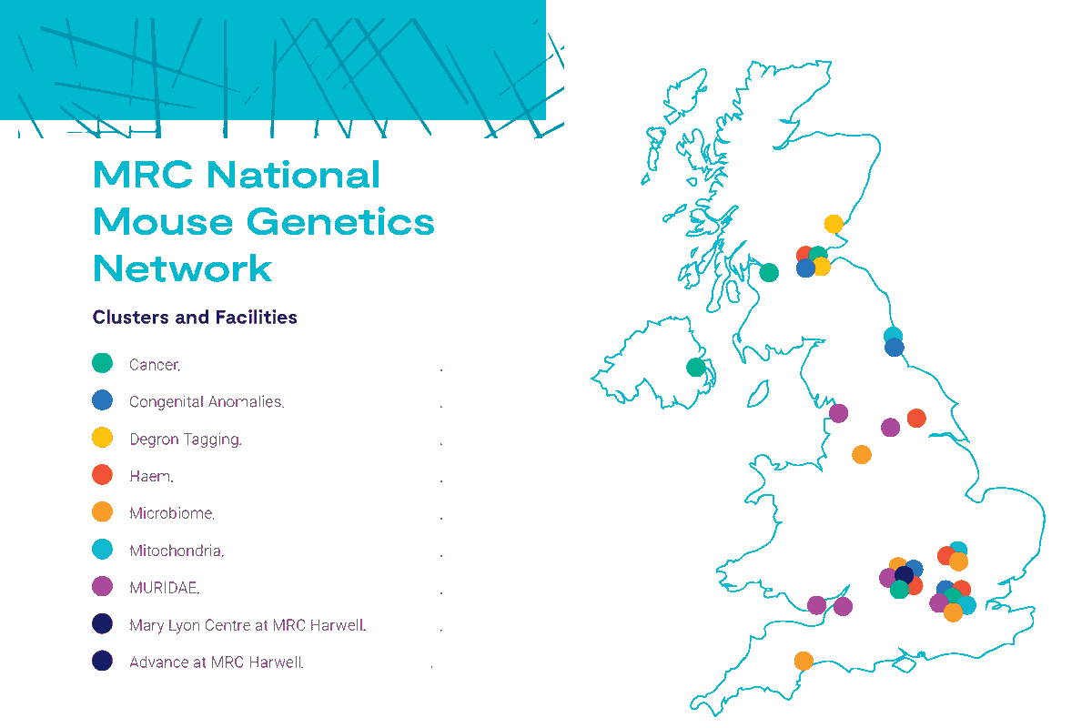 MRC National Mouse Genetics Network tweet media