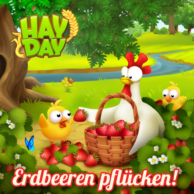 HayDayDE's tweet photo. Wart ihr schon einmal selbst Erdbeeren pflücken? 🐓🍓 #HayDay #StrawberryPicking #Supercelll #Farmlife #Haydaygram https://t.co/3NrVu3WepG