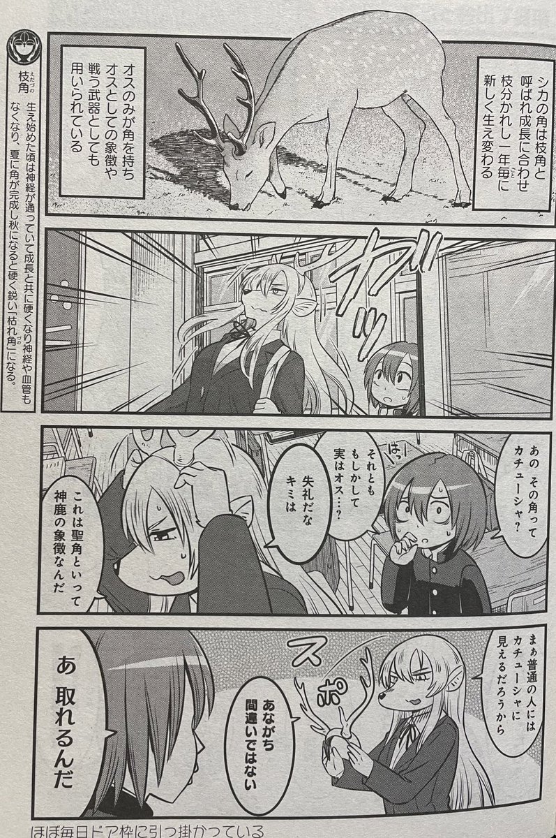 発売中のまんがタイムにまほろば小町ハルヒノさん2話目掲載中です( ✌︎'ω')✌︎アンケート頂けると作者がやる気出して取材旅行行けます・・・! 