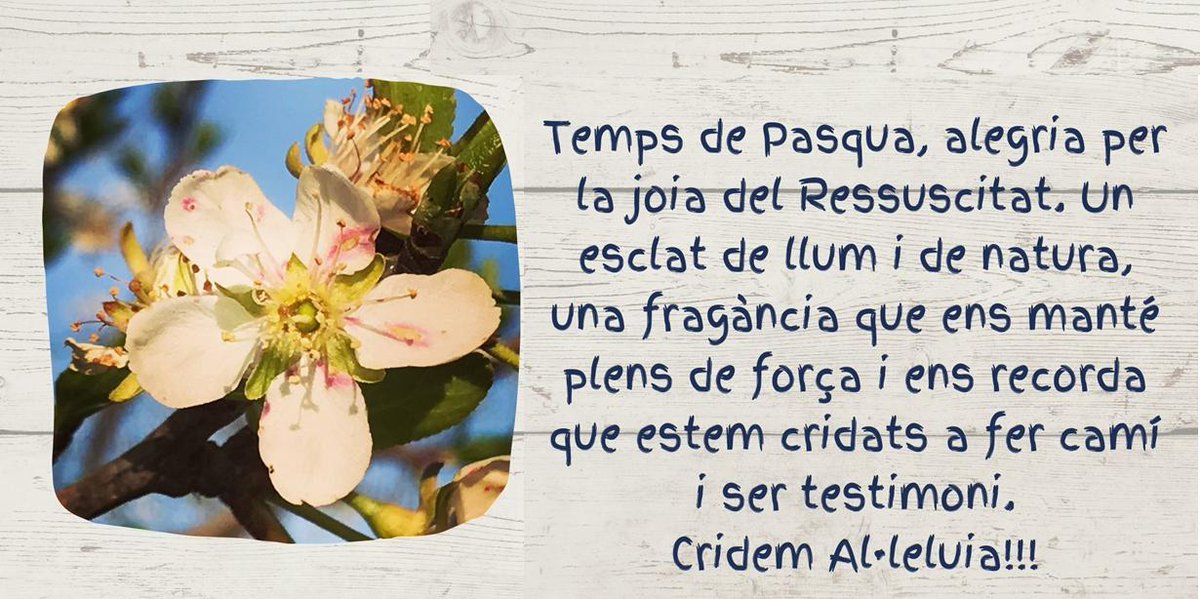 Dominiques Pare Coll (@anunciatacat) on Twitter photo 