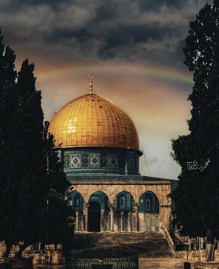 Mazlumun evinde kıyamet koparken,zalime yatağında rahat verme Allah'ım.

#GözümüzKulağımızAksada
#aksayasahipcik