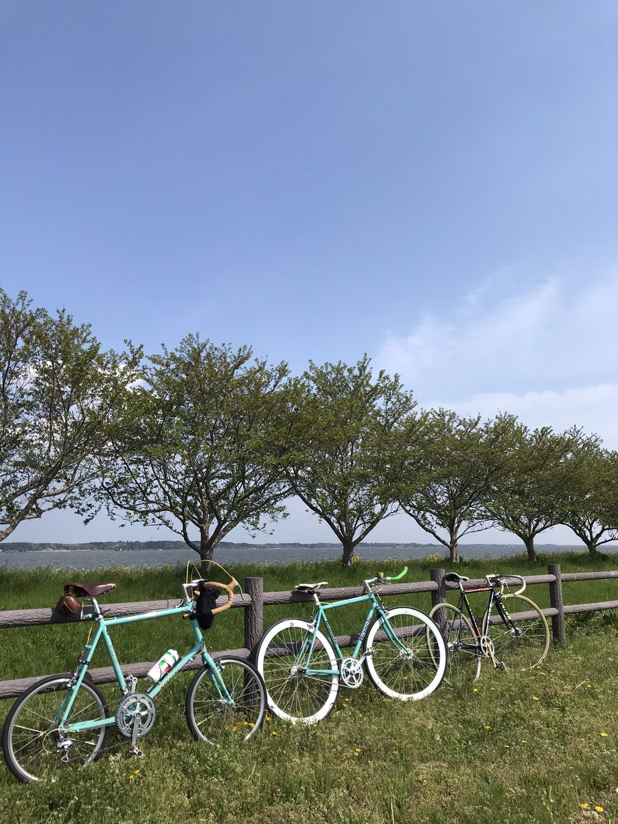 KxSim3oIffWKvvX's tweet photo. #IRIBE
本日アテンドしたお二人のピスト女子のバイクは、ビアンキのピストとイリベのピスト。
イリベ( IRIBE)とは、弱虫ペダルサイクリングチーム所属の入部正太朗選手のお父上である入部正紀氏がビルダーのサイクル工房イリベのフレーム。
シートチューブがかなり立った本格的レーサー仕様でした♪ https://t.co/KRcwoIcctV