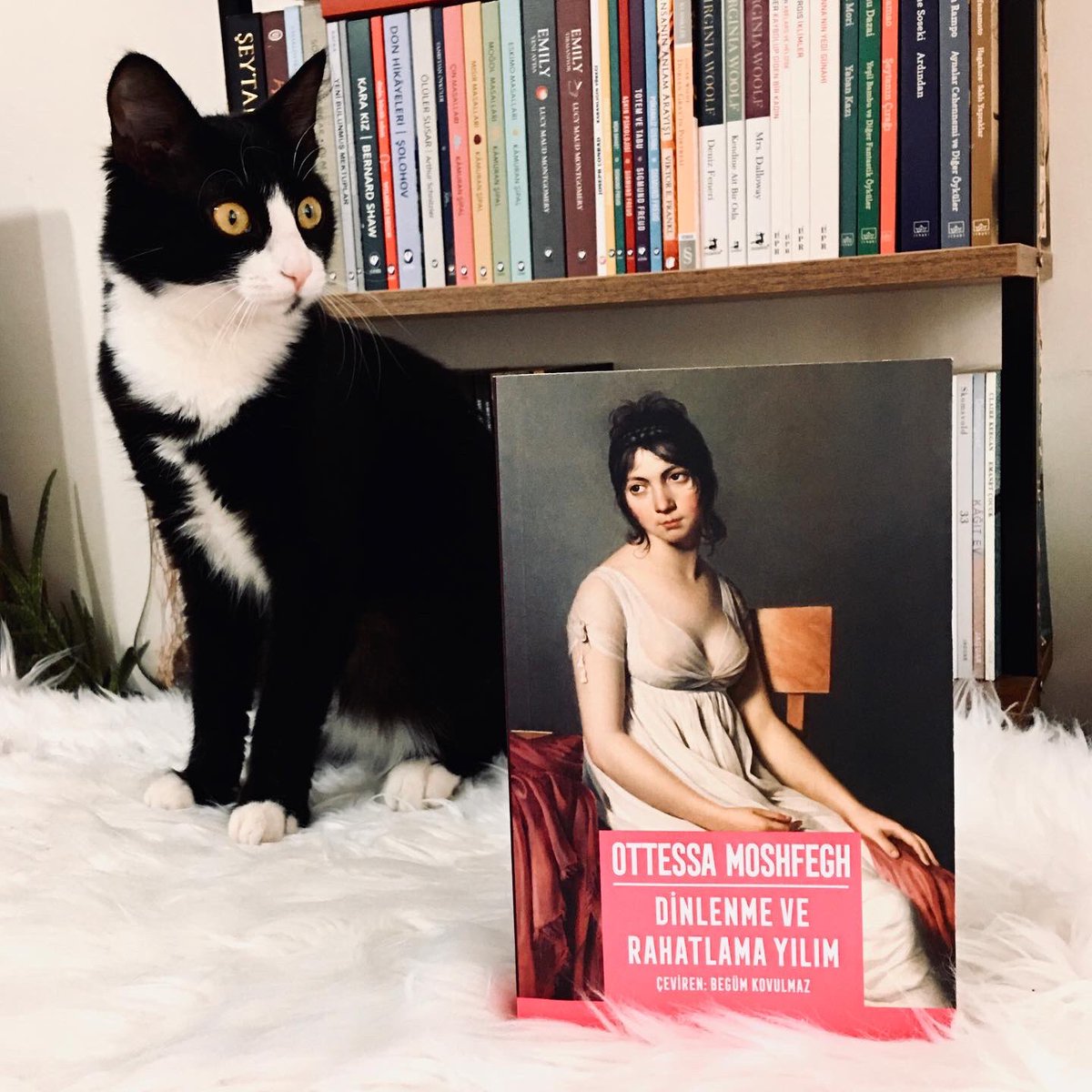 “İnsanlar ruhsal hastalıkların çoğunu kapalı kamusal alanlarda birbirine bulaştırıyor.”