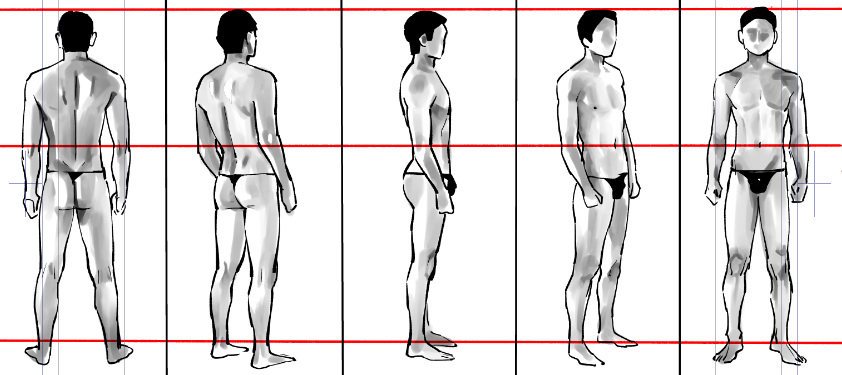 今日のメモ
新ポーズカタログ ❷男性の基本ポーズ編 マール社
の模写
赤線は後でつけてサイズ統一しましたん 