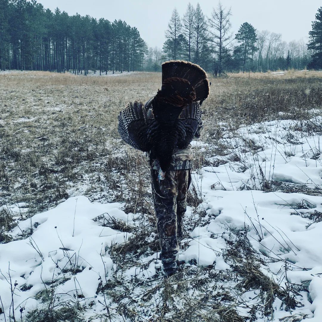 jgbassin's tweet image. My boy got er done the other day Wisconsin youth season. Worked out great despite the nasty weather. I couldn't be prouder. 9" beard, 3/4" spurs. #Wisconsin #wisconsinhunting #turkeyhunting  #turkeyseason #thunderchicken #prouddad