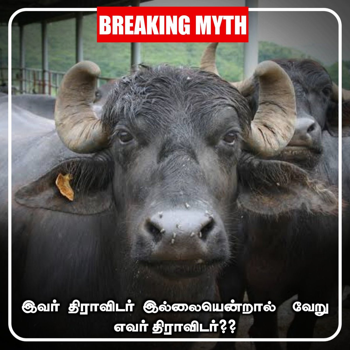 Sunandhaspeaks's tweet photo. சொல்லுங்கப்பு... 😁 https://t.co/pph5v6oCud