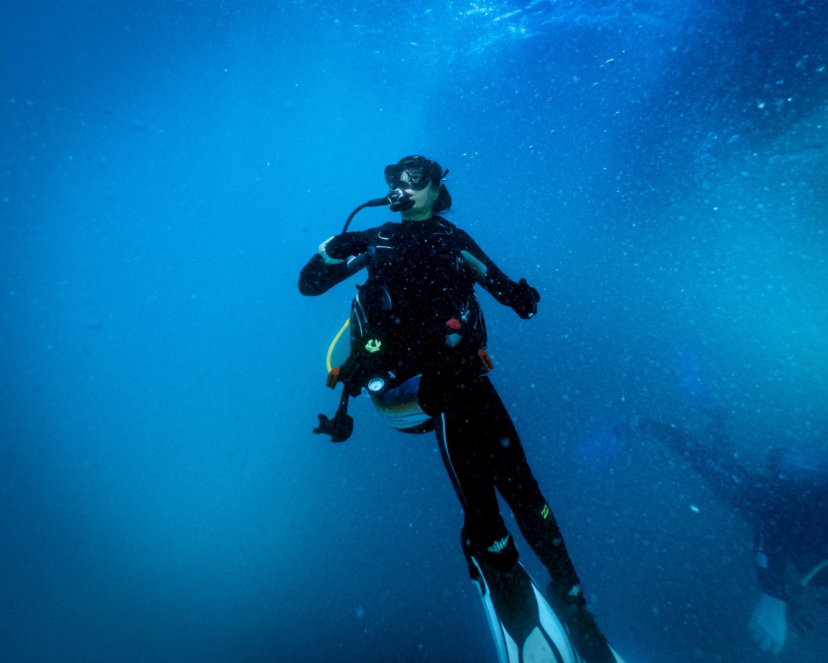 sssphoto's tweet photo. A few portraits of #women #scubadiving some of my best #diving buddies
Algunos retratos de #mujeres #buceando a menudo las mejores compañeras de #buceo
#SSI #PADI #Scuba #Dive #buceadora #Diver #UnderwaterPhotography #SSSPhoto #Buceador
IG: @SSSPhoto https://t.co/rFBdmh5iQ9