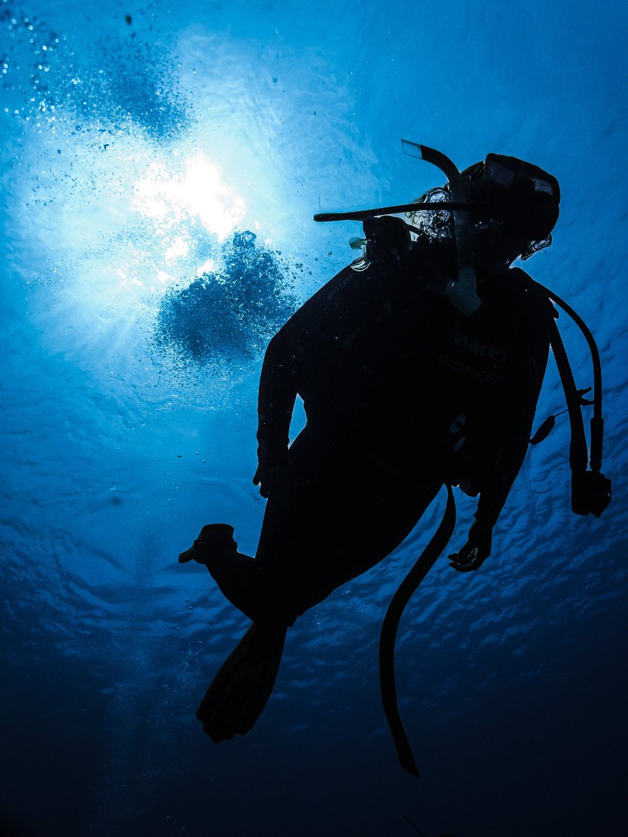 sssphoto's tweet photo. A few portraits of #women #scubadiving some of my best #diving buddies
Algunos retratos de #mujeres #buceando a menudo las mejores compañeras de #buceo
#SSI #PADI #Scuba #Dive #buceadora #Diver #UnderwaterPhotography #SSSPhoto #Buceador
IG: @SSSPhoto https://t.co/rFBdmh5iQ9