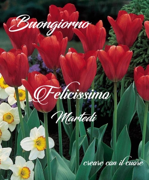 Paolo Borgognone on Twitter: &amp;quot;@Antonel08210523 Buongiorno, cara ...