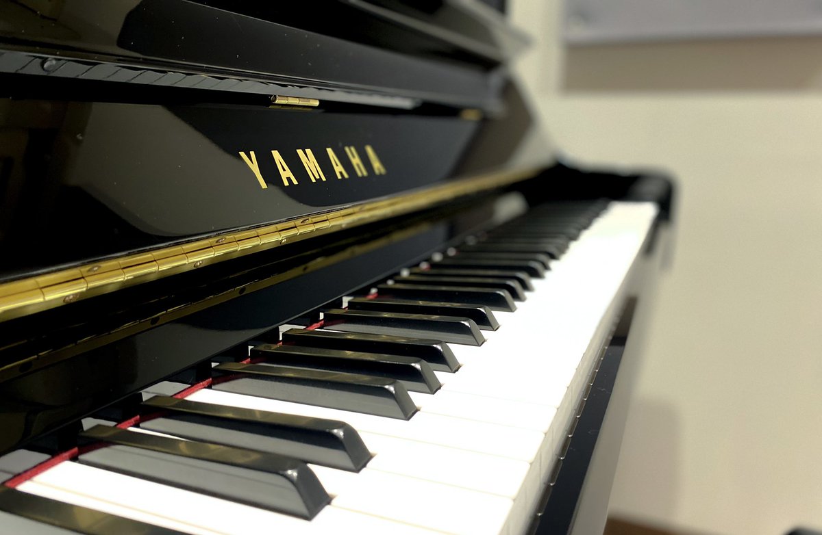 #NOAH調律情報
都立大店 P3st
YAMAHA アップライトピアノ
定期調律完了いたしました☘️
皆様のご来店お待ちしております💁‍♀️
#pianostudionoah