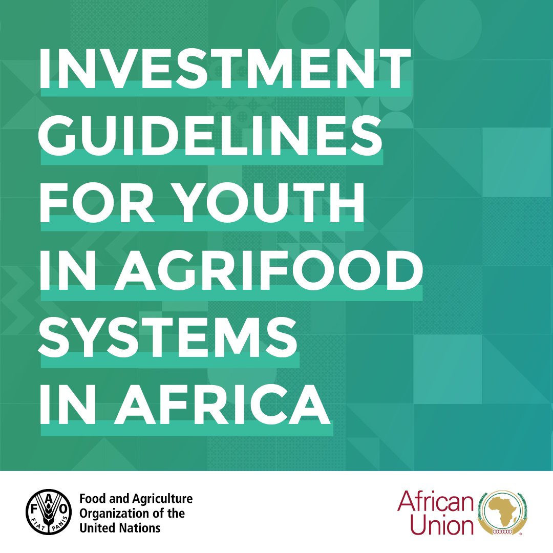 Out Now: <a href="/FAO/">Food and Agriculture Organization</a> and the <a href="/_AfricanUnion/">African Union</a> have launched new investment guidelines for youth in agribusiness in Africa.

Download a copy here 👉 bit.ly/37fiKaX
