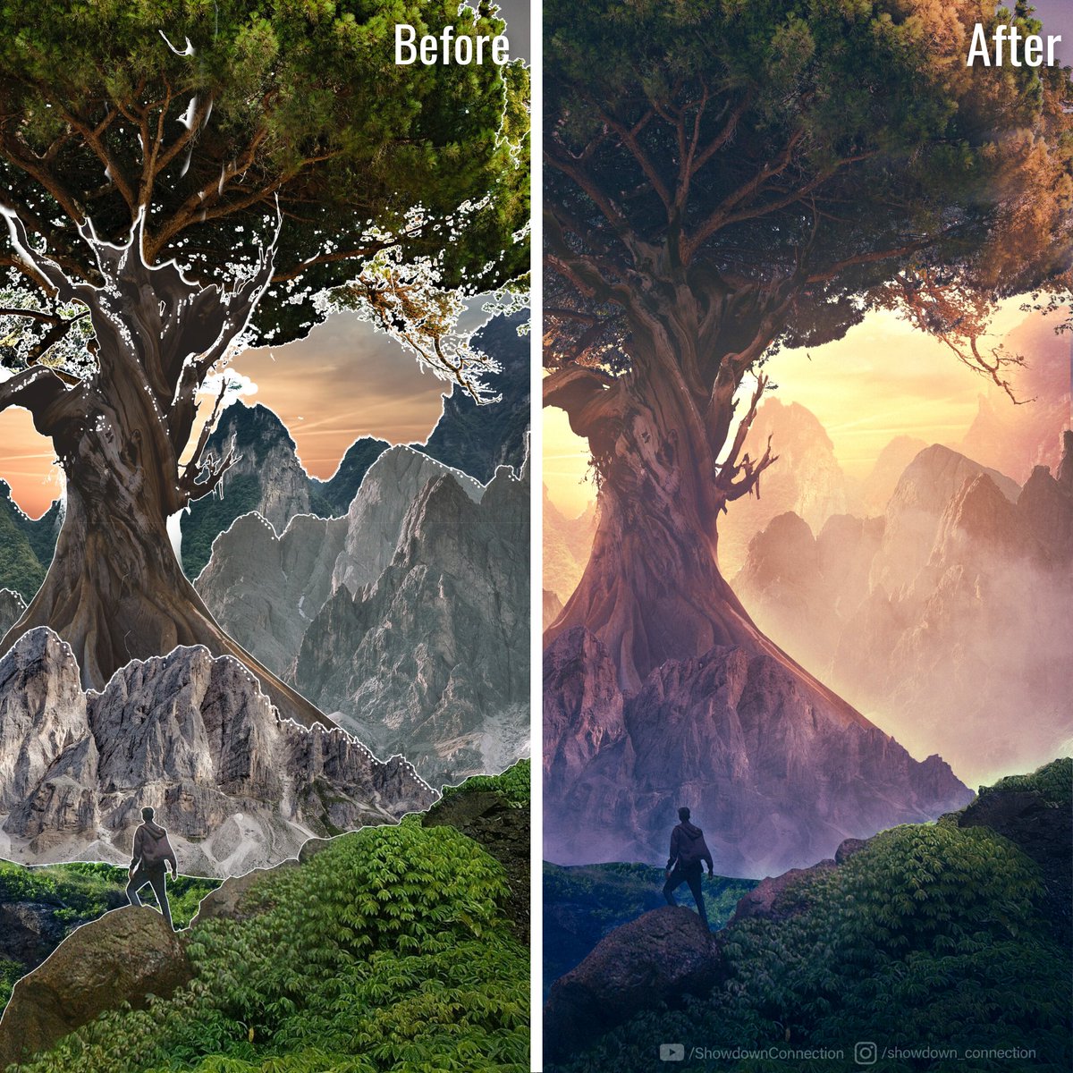 ShowdownConnec1's tweet image. Heart of the Horizon: Baseplate Vs Final Image

#photoshop #photomanipulation #digitalart #art
