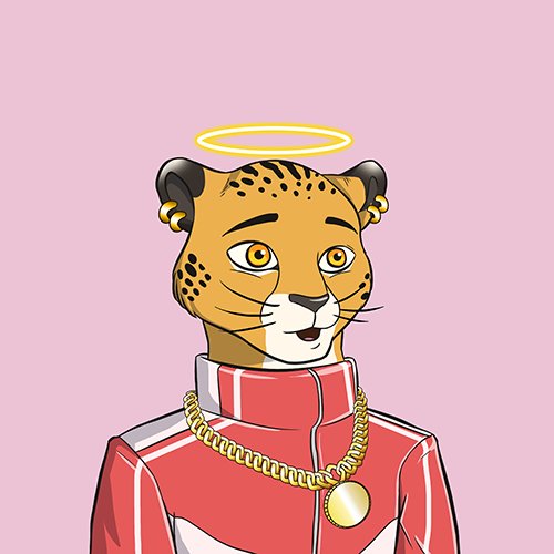 Cheetahs_Cartel's tweet photo. https://t.co/0CJH1gSS1O