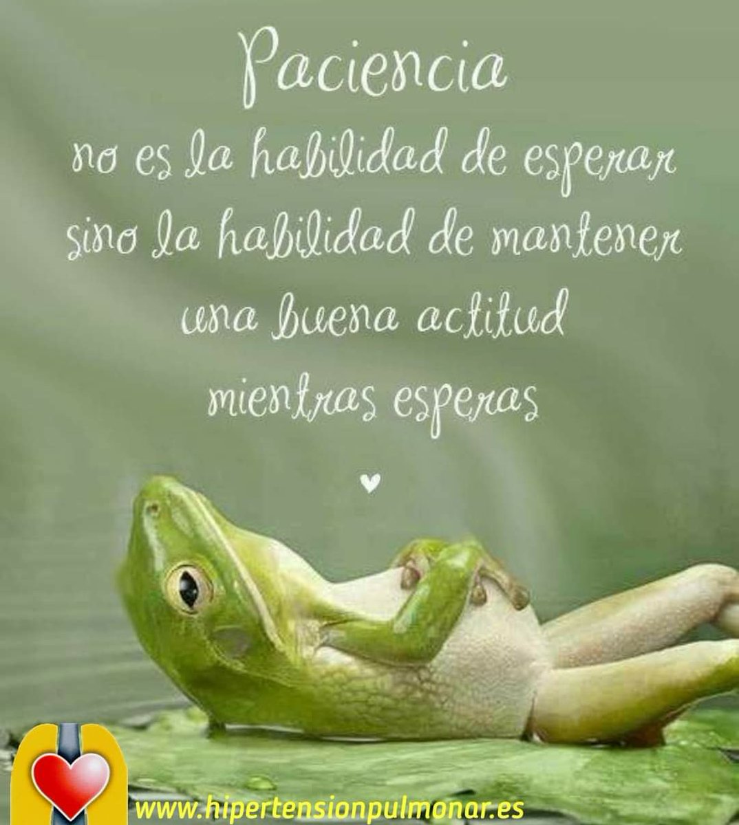 ANdHP's tweet photo. Y las personas con #hipertensiónpulmonar tenemos mucha paciencia esperando que la investigación consiga la curación y medicamentos más efectivos #lahpimporta #hpcure #investigaciónmédica #actitudpositiva #VamosLejos #anuestroritmo #SomosFuertes #martes
https://t.co/igMAfrd8xV https://t.co/jzETa4mZDI