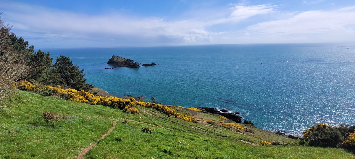 amylee2289's tweet photo. 😍
#brownstone #daymark #southdevon https://t.co/I5YaZEi4Nl