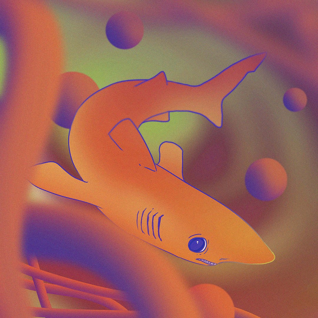 We shouldn't be afraid of sharks, they're friends!  ♥️🦈 Get a chance to mint this cute Crocodile shark here: sharks.likhanft.io 

#NFTPhilippines #NFTPH #NFTart #PolygonNFT #SaveOurSharks <a href="/LikhaNft/">Likha</a> 🇵🇭