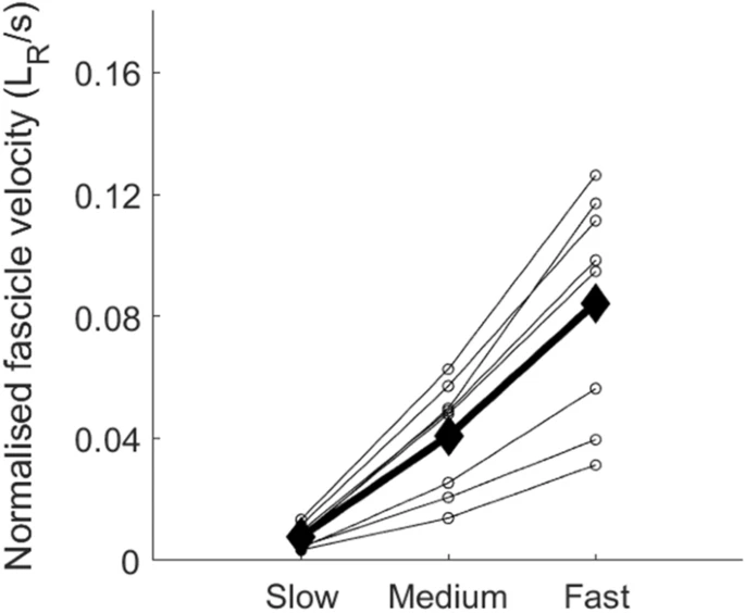 EJAP_official's tweet photo. The effect of small changes in rate of force development on muscle fascicle velocity and motor unit discharge behaviour. @AelesJ @GlenLichtwark @andy_cress & M. Bellet @LaboMIP #openaccess #muscle #MotorUnit #fascicle #ultrasound https://t.co/HEEkIeayKh https://t.co/zcRwPYnyx7