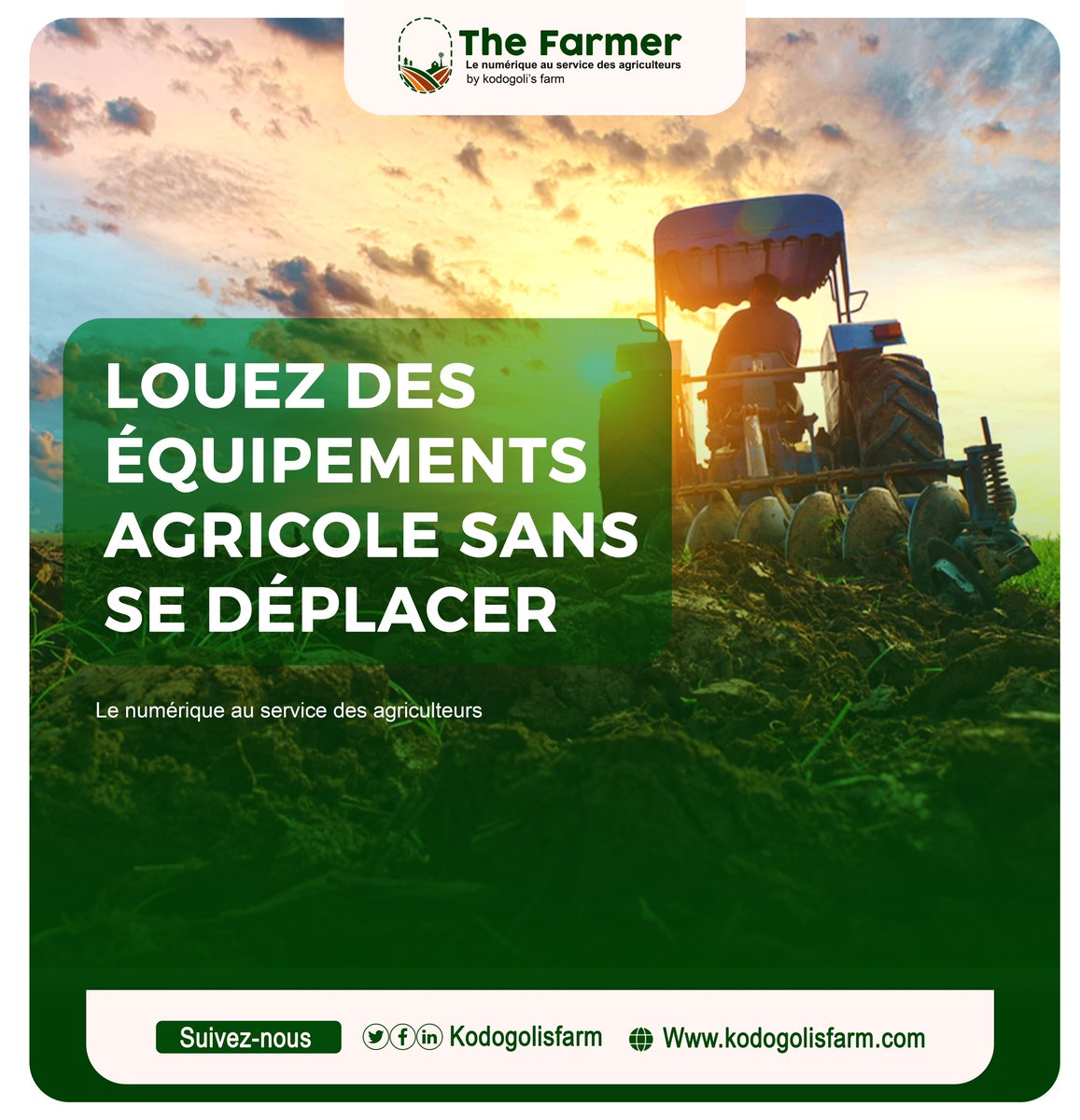 KODOGOLI'S FARM tweet media