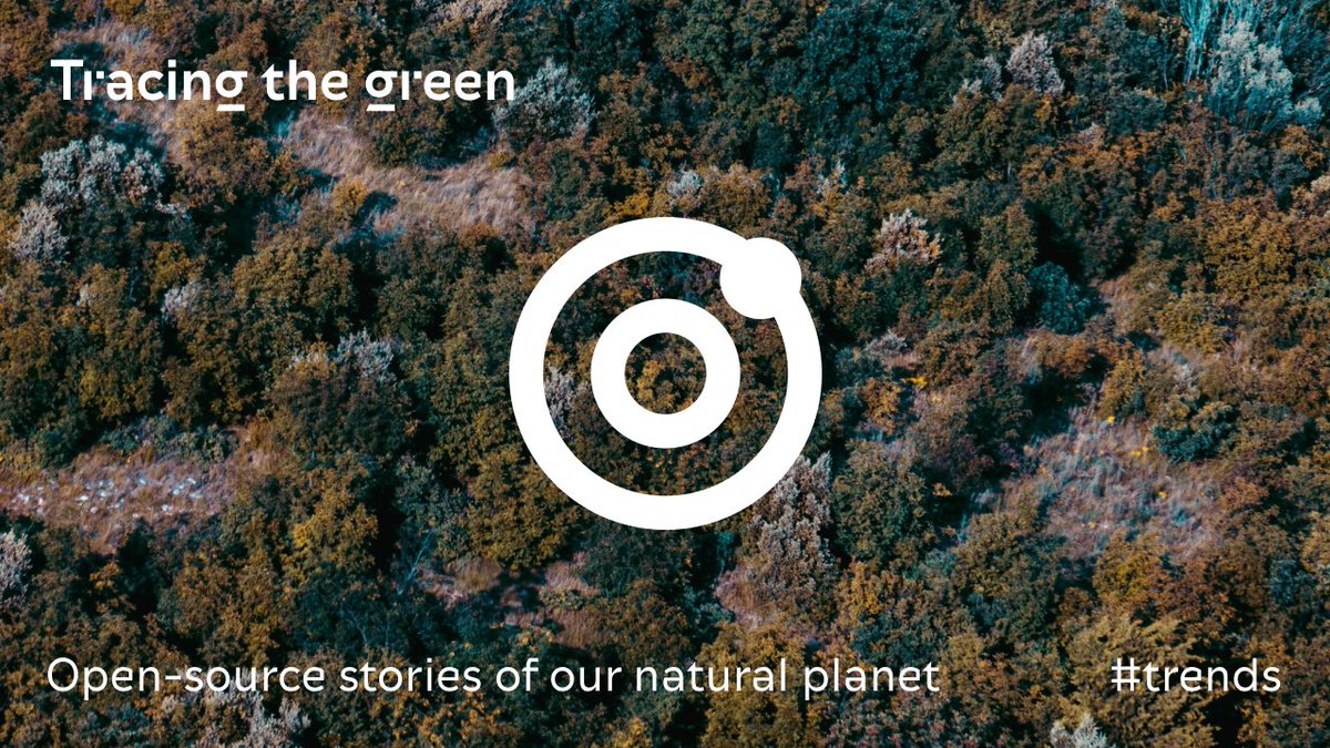 indexaward's tweet image. Can researching and documenting our plant help us care more for it? 🗺 According to @fieldkitorg, Forest Archive by Hannah Segerkrantz and #PlanetaryComputer by @Microsoft it can! bit.ly/trends_maps Discover more #indextrends at this upcoming event bit.ly/event_dtil2022