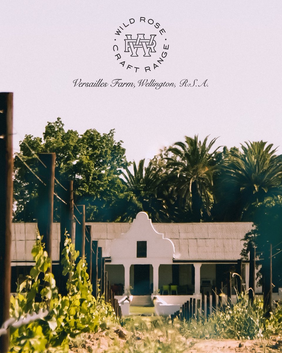 Visit Wellington ZA tweet media