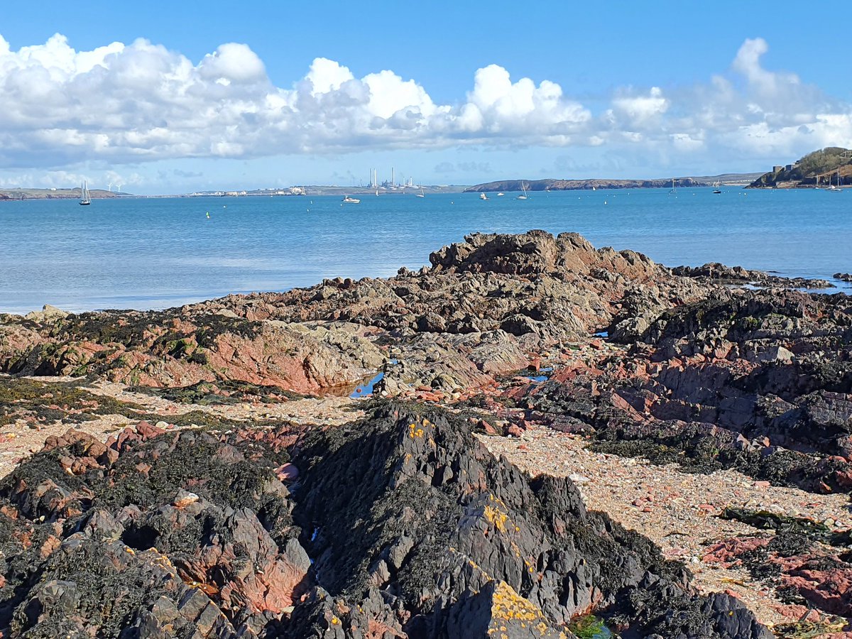 Chris Mackin tweet media