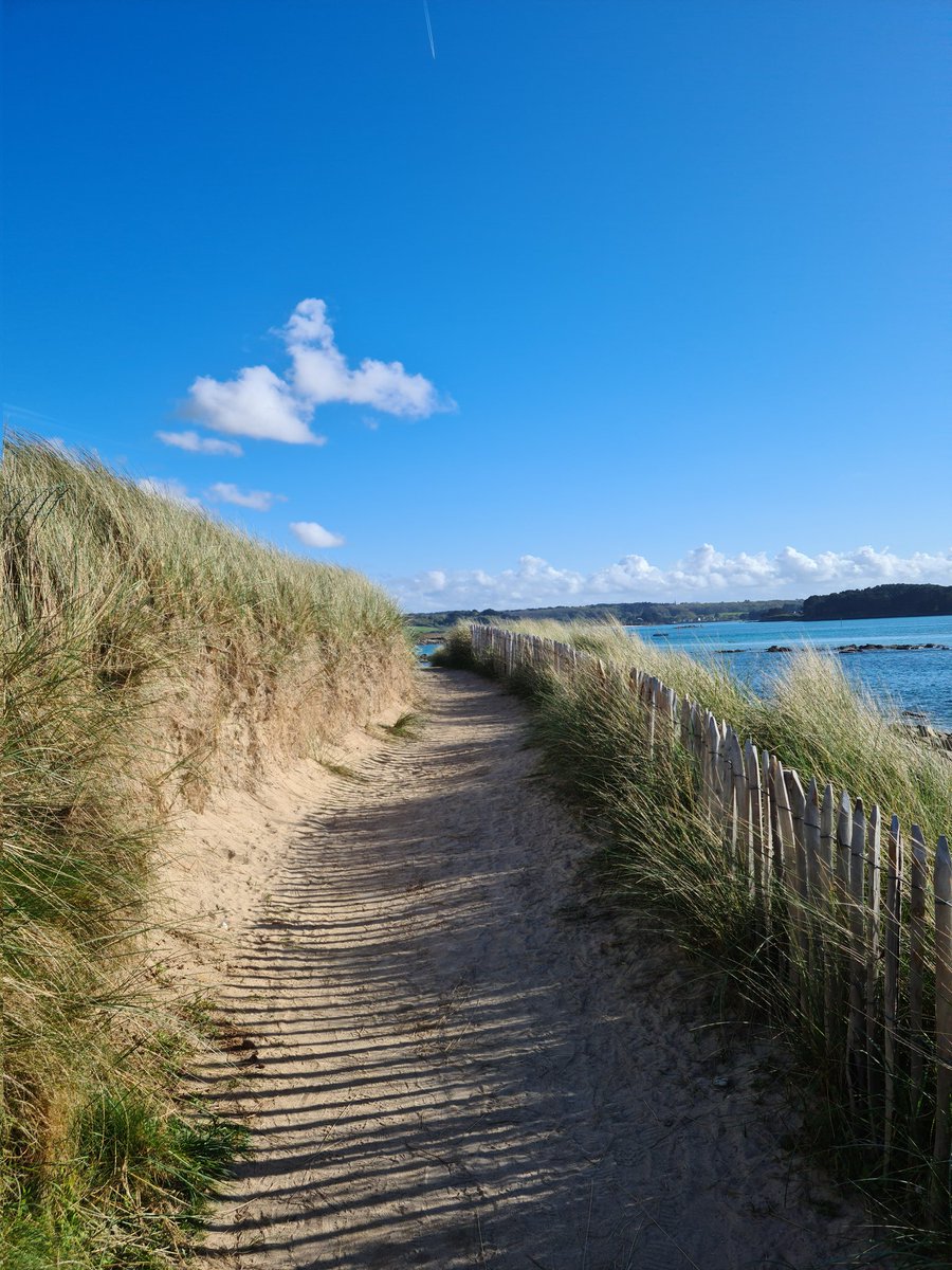 Pierre_Auberger's tweet photo. Sur le sentier des douaniers à #Landrellec @cotegranitrose #MagnifiqueBretagne #MabelleBretagne #MagnifiqueFrance @arielSTRABONI @BreizhWeCan https://t.co/iepBFAoPFN
