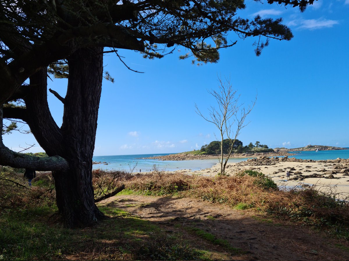 Pierre_Auberger's tweet photo. Sur le sentier des douaniers à #Landrellec @cotegranitrose #MagnifiqueBretagne #MabelleBretagne #MagnifiqueFrance @arielSTRABONI @BreizhWeCan https://t.co/iepBFAoPFN