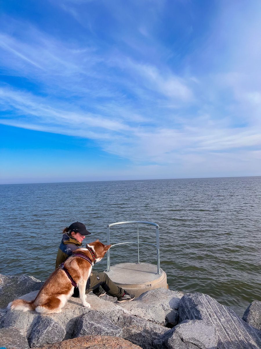 You’re enough. A thousand Times enough. 🐾❤️ 

#DogsofTwittter #twitterdogcommunity #twitterdogs