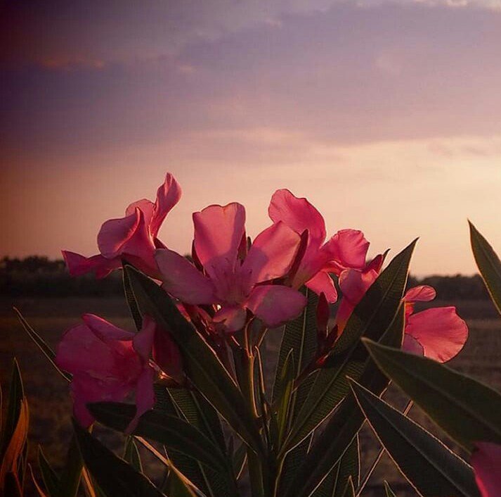 #TeamDollNature #Tmlily #TeamDoll  
  
╰❥🐶˚@Nailsviana_art 
💜 ⎠<a href="/Biomalato/">BIO 🦁 CR !</a>
╰❥<a href="/rosanafava/">🌸rosanafava 50K🌸</a>
🐶⎠ <a href="/Hp071180/">@071180</a>
╰❥@crescentegus
💜⎠@Fer_Teamunidos
╰❥@kamar_leilak
🐶⎠@Moni_DollNature 
╰❥@__timetotime
💜⎠@Dcordell2016
╰❥<a href="/trinivianaok/">TRINI 》》》☆Peace ☮ Love☆Founder #TeamDollNature</a>