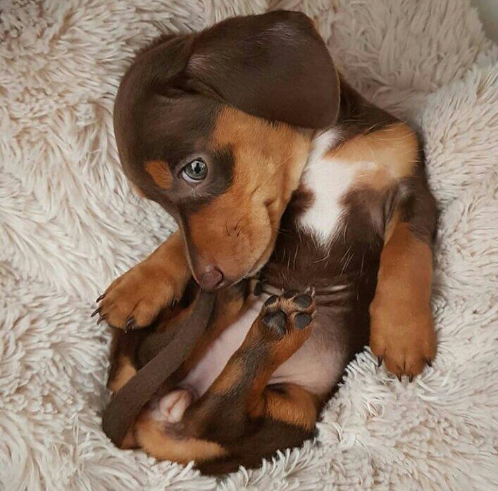 ༄ #TeamDollNature ༄ #TeamDoll ༄ #Tmlily 
 
•☀️•°FႣLLႣW ☀️↴

☀️<a href="/majd9757/">M</a>
🦜<a href="/Vazkko/">Jorge</a>
☀️<a href="/YoramKoren/">YoramKoren #TeamSpirit ☞ @spiritRider1 ♡</a> 
🦜@naturedoll_moni
☀️<a href="/TandB2018/">C. Tom C. 🏳️‍🌈🌈❤️LOVE IS LOVE💙</a> 
🦜<a href="/trinivianaok/">TRINI 》》》☆Peace ☮ Love☆Founder #TeamDollNature</a>
☀️<a href="/Hp071180/">@071180</a> 
🦜<a href="/kotagiris18/">Sreedhar kotagiri</a>
☀️@__timetotime 
🦜<a href="/Ebruualn/">Ebru</a> 
☀️<a href="/darre5/">🌟DAZZ™️🌟#MGWV #RTFB #TeamUnidoS #F1#MOTOGP#RM</a>