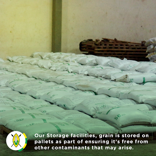 HudumaPoa's tweet photo. In our Storage facilities, grain is stored on pallets as part of ensuring it’s free from other contaminants that may arise. Contact us today and let’s safely store your grain for you.
#HudumaPoa #NCPB #NCPBReforms https://t.co/GXostisDZV