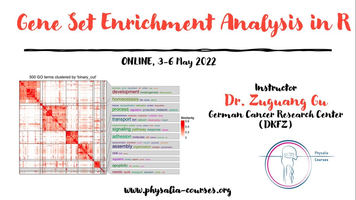 Physacourses's tweet image. We have the last seats available for our new course with @jokergoo_gu in May.

If interested, please check it out: physalia-courses.org/courses-worksh…

#Rstats #Genomics #bioconductor #DataScience #Bioinformatics #Datavisualization