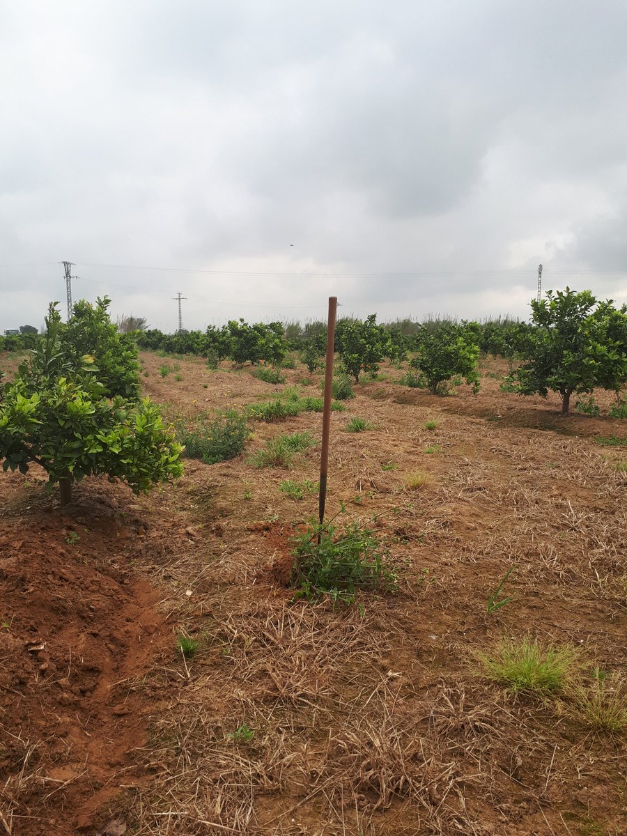 Sessiód'aeropic matinal. Bon dia.