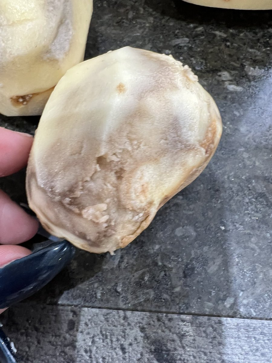 bangergibson1's tweet photo. @_JessWhittaker @AldiUK I tweeted this on Saturday and have had NO response! These were my potatoes, absolutely disgusting 🤮 THE whole bag was like this, no potatoes for our dinner!!! https://t.co/ASi5gkCKLG