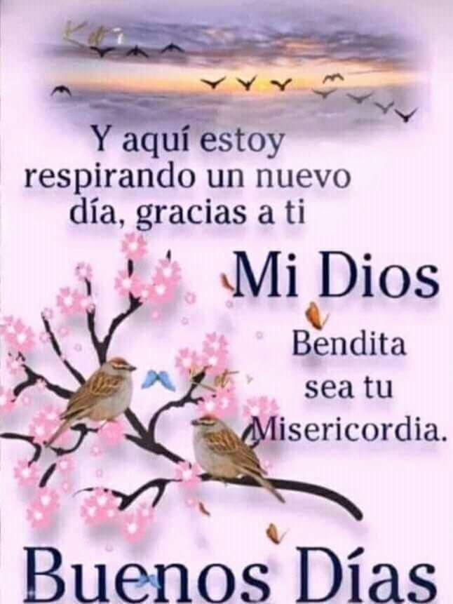 ConsueloPalac60's tweet photo. Amén 🙏 https://t.co/o9EQDpPnv9