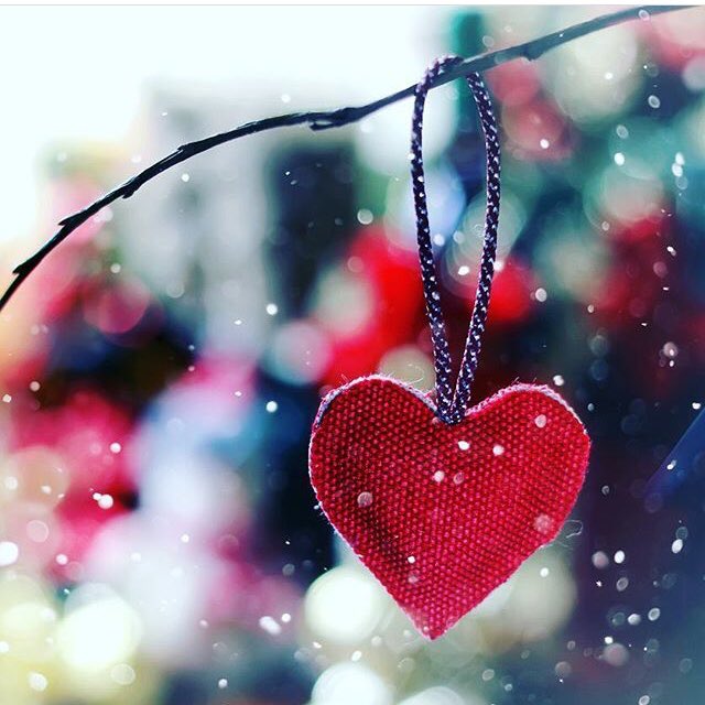 _kofidan's tweet photo. In this world of ours, we need cooperation as intimate as that among the cells of one body. Juliana Wilhelmina 

#peace #love #unity

Enjoy your day! Stay well! ❤ https://t.co/3IZ4TPoJFA