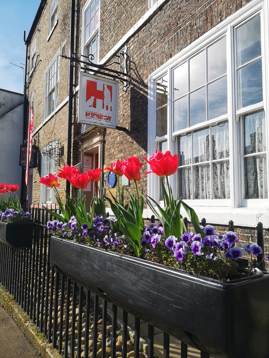 Looking good at the World of James Herriot this sunny morning.
<a href="/jamesherriot/">James Herriot</a> #Thirsk <a href="/Thirskinfo/">Thirsk Tourist Info</a> #yorkshire