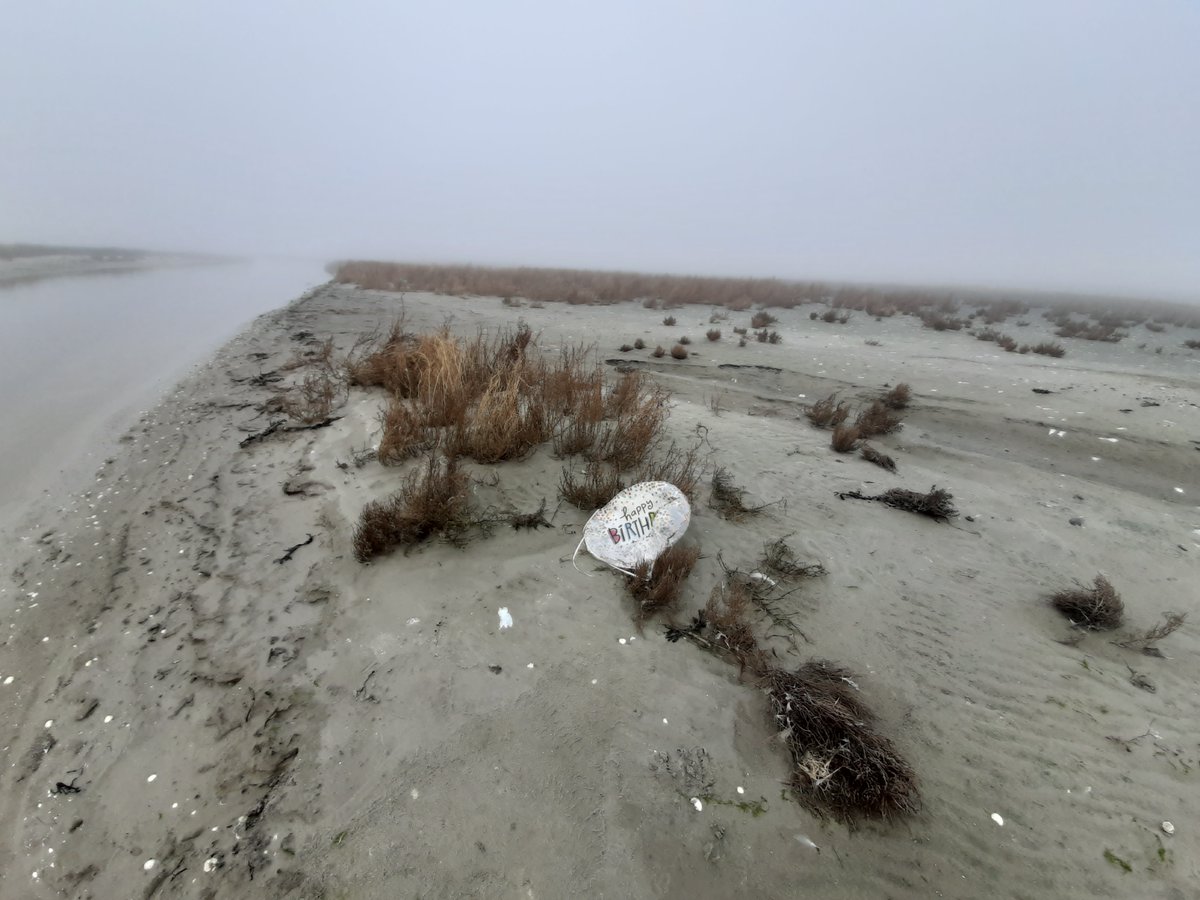 RWS_NN's tweet photo. In het jaar 2021 vonden we meer zwerfafval 🚯in de Waddenzee dan het jaar er voor. Onderzoek 👀in samenwerking met #Waddenunit en @buwanl. Ons verhaal en het rapport staan nu online 👉 https://t.co/1yQAHQo3Hx https://t.co/jBBkze4ouk
