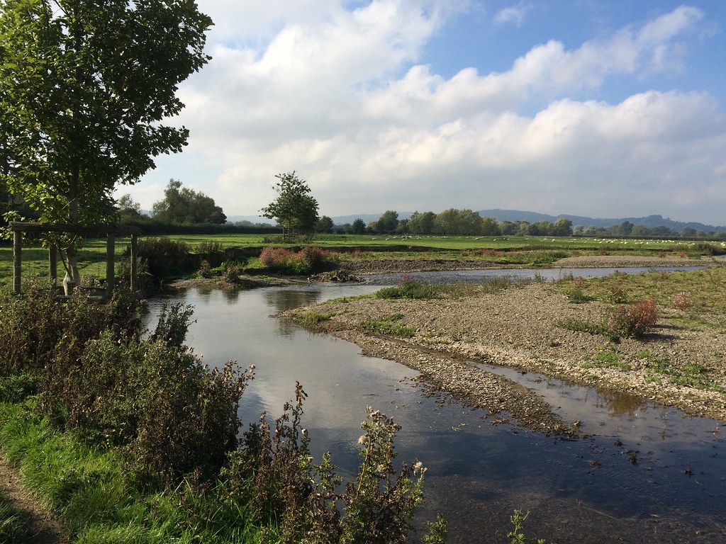 #JobAlert: Vacancy for a #CatchmentSensitiveFarming Officer working in the Severn Middle Worcester Catchment.

If you have #farming knowledge and want to make a positive impact on #air and #water quality in the West Midlands, apply at: bit.ly/3KY02Uu 

#WorcesterJobs