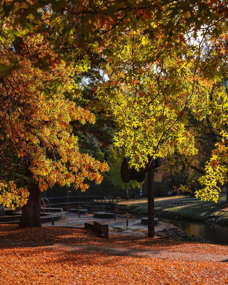 jamesofbright's tweet photo. My favourite spot in Bright to capture the morning sun making everything glow.

#lovebright #victoriashighcountry #seeaustralia #visitvictoria #autumn2022 #abcmyphoto #autumntrees #brightvictoria #holidayherethisyear https://t.co/1zM4phzWKc