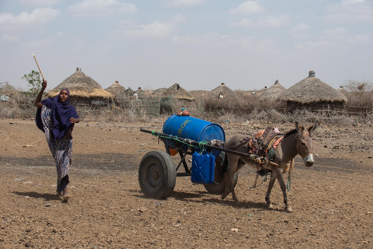 ℹ️ Last week, we warned that #EastAfrica faces the risk of a fourth consecutive failed #rainy season placing #Ethiopia, #Kenya, and #Somalia into a drought of a length not experienced in the last 40 years. 

📸 WFP