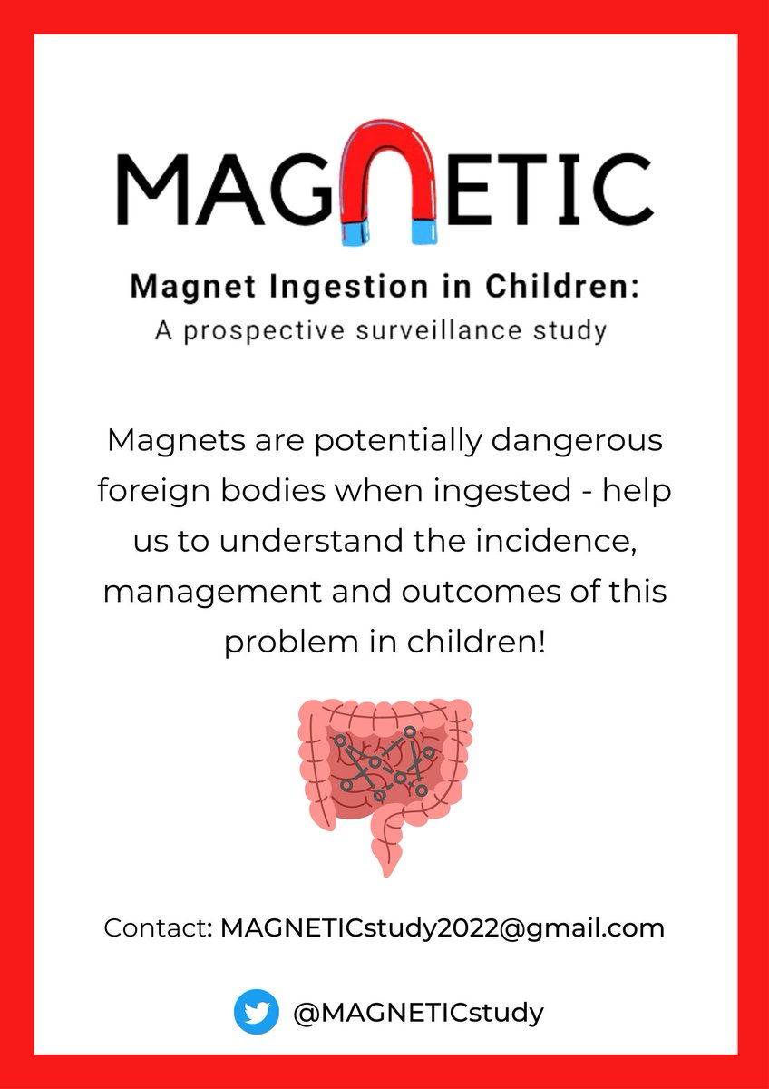 MAGNETICstudy tweet media